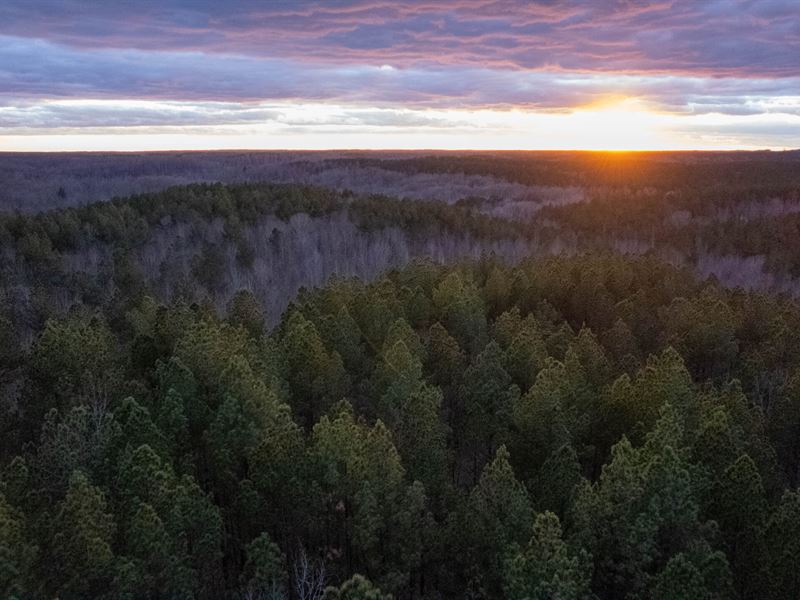 Tennessee River Overlook Tract 1 : Holladay : Benton County : Tennessee