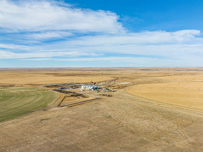 Auction, Kit Carson County, Farm Auction in Colorado, 365787 FARMFLIP