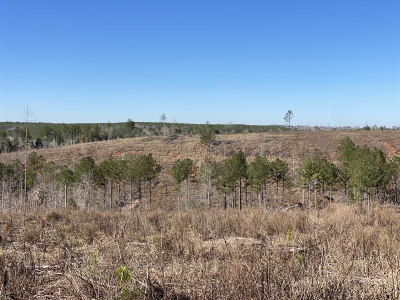 Kitchen Branch Headwater, Farm for Sale in 365850 FARMFLIP