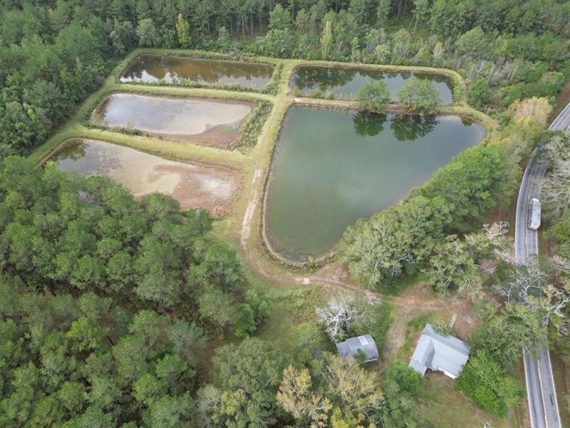 Unique Recreational Tract in Sw MS, Farm for Sale in Mississippi