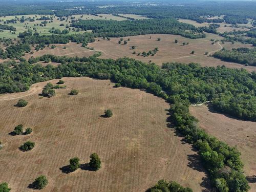 Pace Ranch : Montgomery : Texas