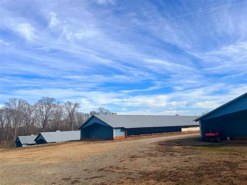 8 House Pullet Farm in Carnesville, Farm for Sale in 366052