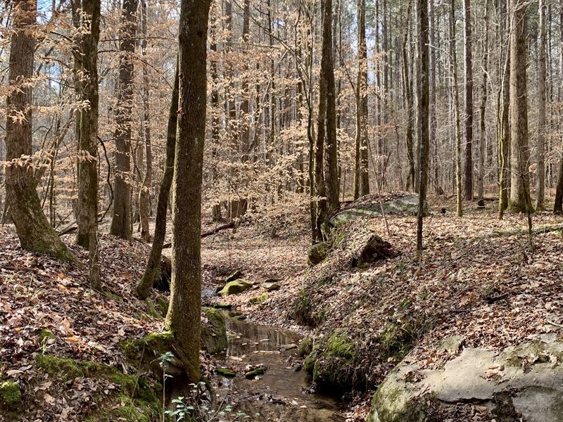 Eades Road Tract, Farm for Sale in 366062 FARMFLIP