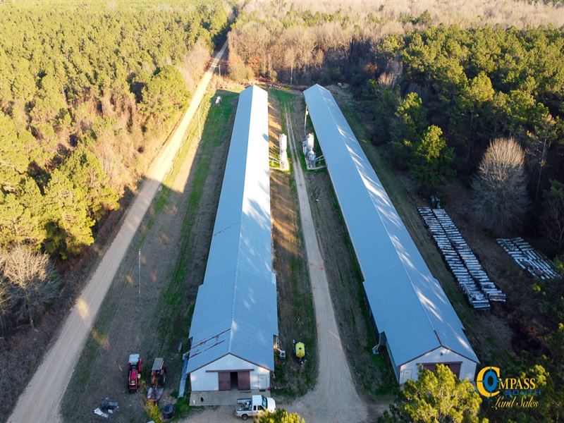 Taylor Road Poultry Farm : Rison : Cleveland County : Arkansas