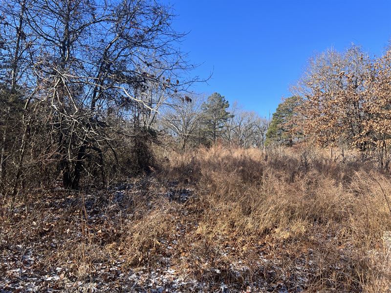 Land for Sale, Norwood, MO, Farm for Sale in Missouri, 366125 FARMFLIP