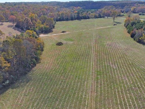 Mixture Of Valley Land & Woods : West Plains : Howell County : Missouri