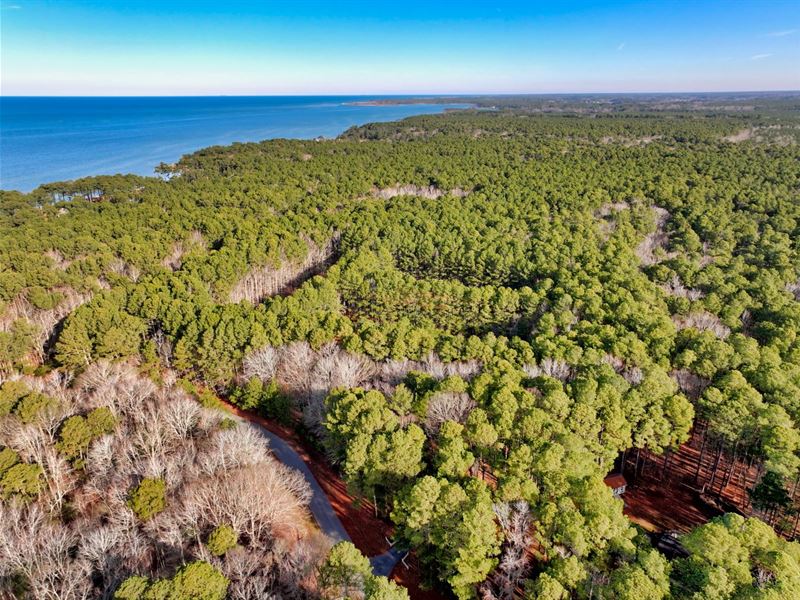 10 Acres in Northampton County, VA, Farm for Sale by Owner in Virginia