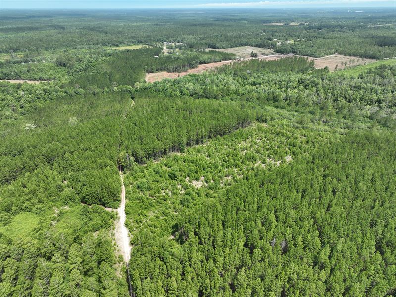 Secluded Wayne County Land, Tract 2, Farm for Sale in 366301