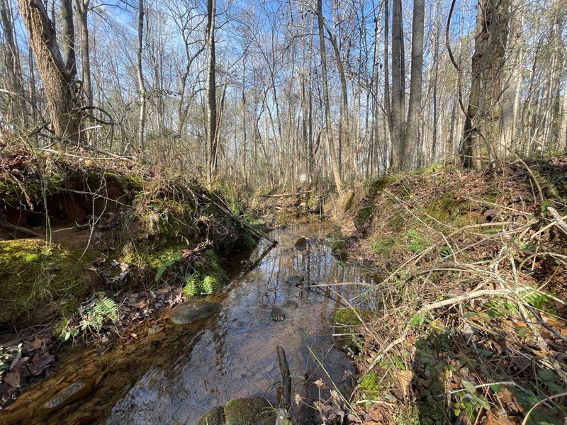 6 Ac Coweta County, GA : Newnan : Coweta County : Georgia