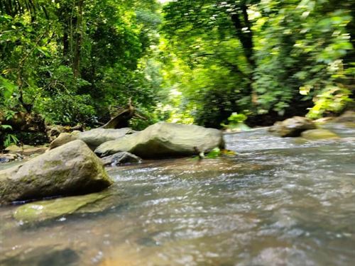 Beautiful Charming Property : Puriscal : Costa Rica