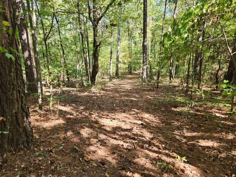Tuckaway Acres, Farm for Sale in Alabama, 366739 FARMFLIP