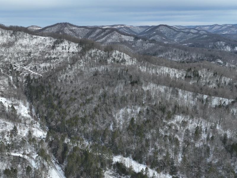 22.75 Acres in Nicholas County, WV, Farm for Sale by Owner in West