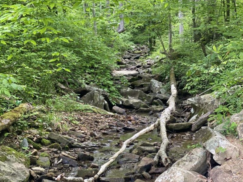 Hunting Land with Creek, Farm for Sale by Owner in Kentucky, 367037