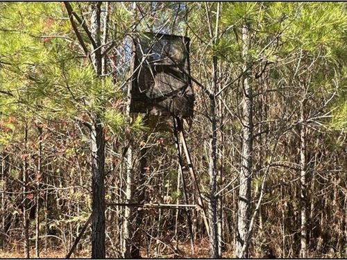 80 Acres In Newton County In Hickor : Hickory : Newton County : Mississippi