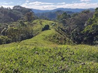 Beautiful Small Estate : Galan De Puriscal : Costa Rica