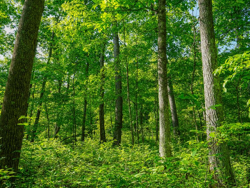 Twp Rd 82 26 Acres, Farm for Sale in Ohio, 367187 FARMFLIP