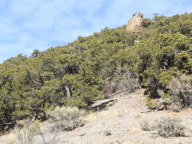 Remote Paradise $20.24 Down, 6.3 Ac : Fort Garland : Costilla County : Colorado