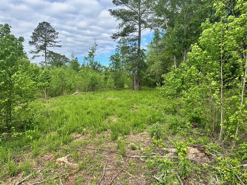 6.99 Wooded Ac, West Bartow County : Taylorsville : Bartow County : Georgia