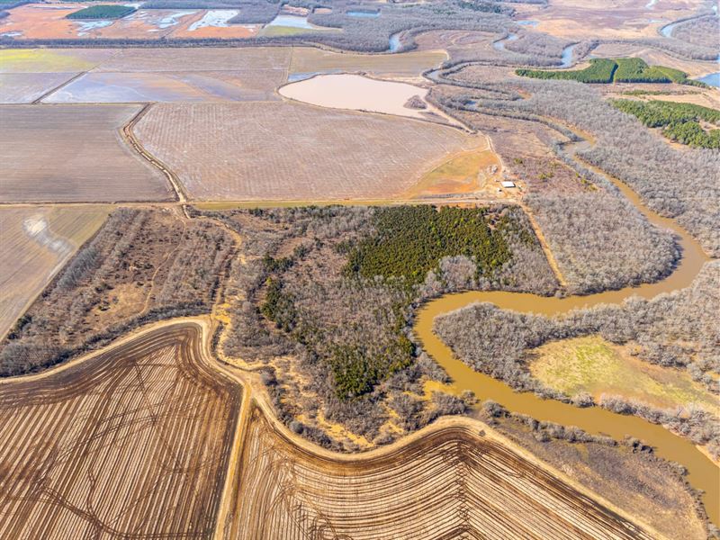 100 Acres, Waterfowl Hunting AL : Conway : Faulkner County : Arkansas