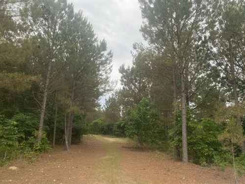 Wayne Co, TN 145.57 Ac. Recreation : Waynesboro : Wayne County : Tennessee