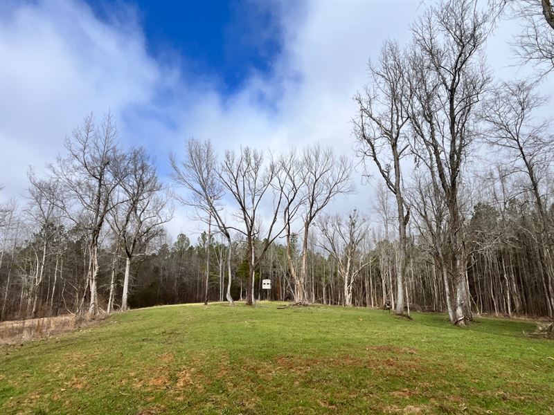 86 Acres in ster County, MS, Farm for Sale by Owner in Mississippi