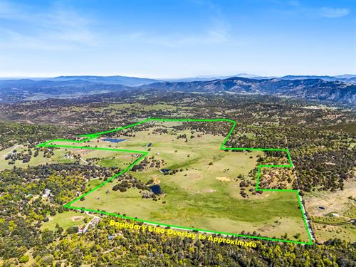 Oak Ridge Stock Farm : Julian : San Diego County : California