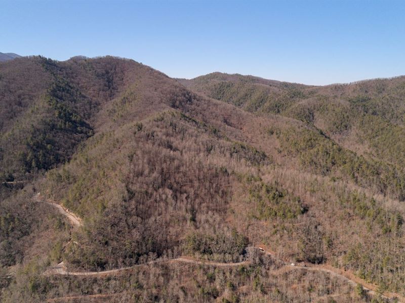 19.2 Ac in Madison County, NC, Farm for Sale by Owner in North Carolina