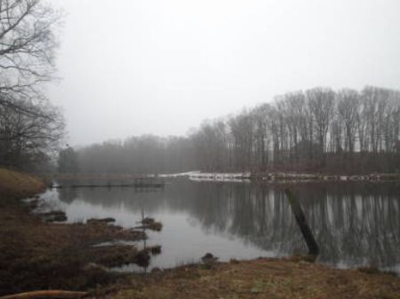 Beautiful Waterfront Lot : Monroe : Walton County : Georgia