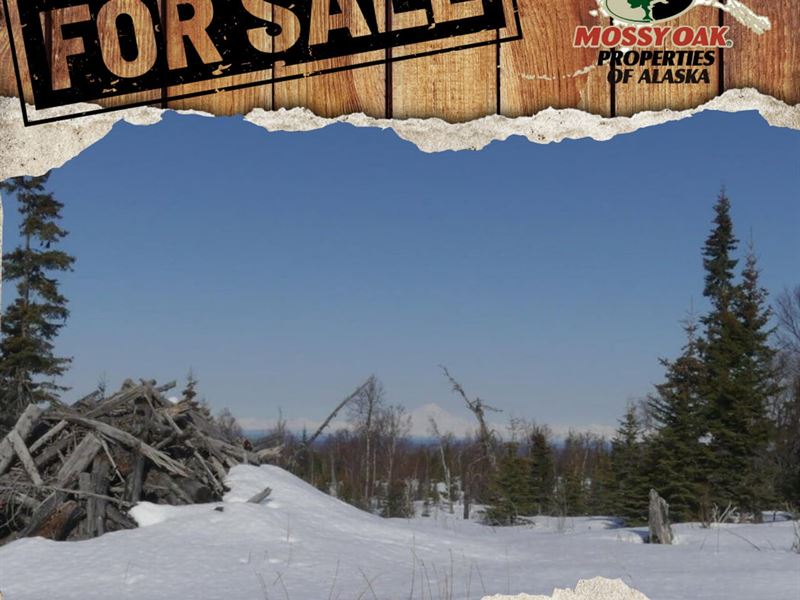 Remote, Trail Access 16 Acres : Ninilchik : Kenai Peninsula Borough : Alaska