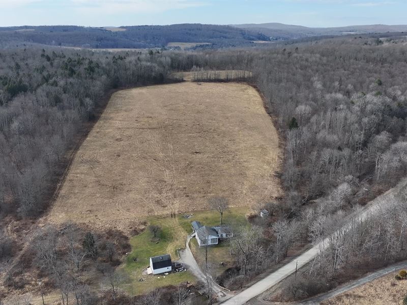 Ideal Whitetail Sanctuary : Lisle : Broome County : New York