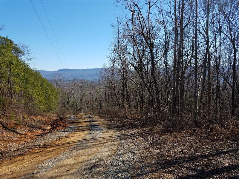 Valley Views, Doublewide, Modular, Farm for Sale in Tennessee, 368381