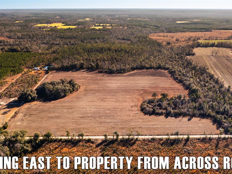 Agricultural Acreage for Homestead, Farm for Sale by Owner in Florida, 368398 FARMFLIP