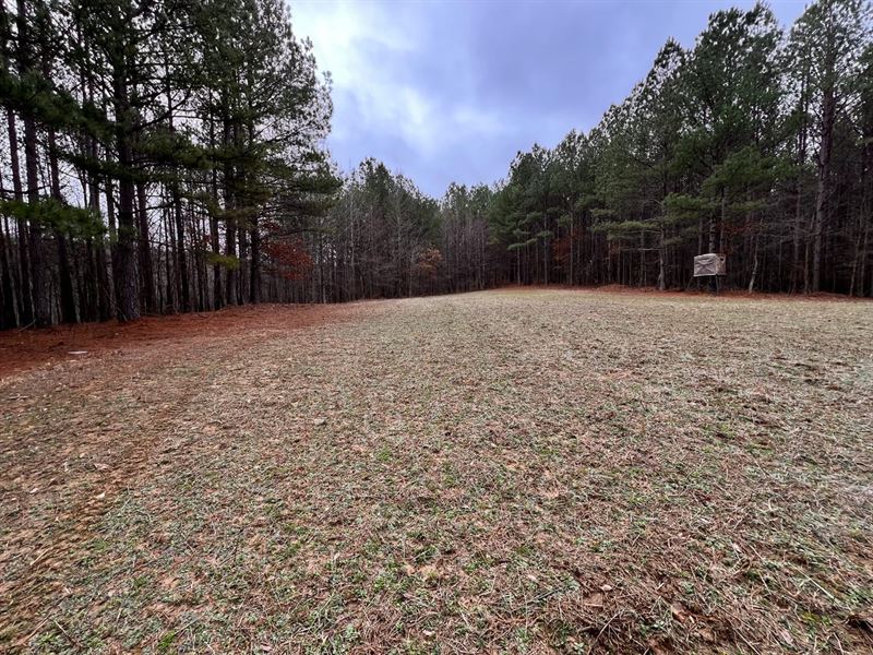 Western Kentucky Hunting Farm, Farm for Sale in Kentucky, 368496