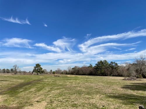 Lone Pine Ranch : Montgomery : Texas