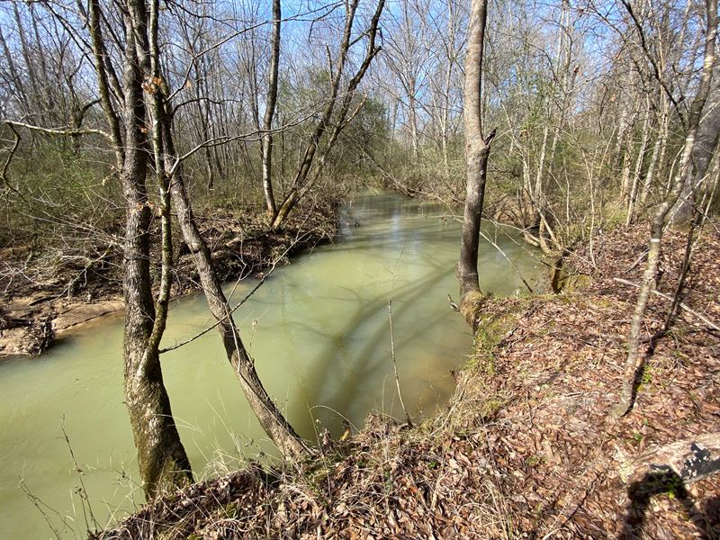 Muckleroy Creek 15 Acres : Ashville : Saint Clair County : Alabama