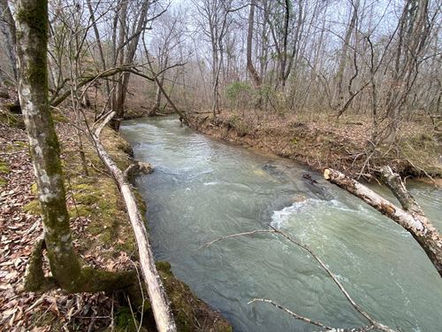 Muckleroy Creek 29 Acres : Ashville : Saint Clair County : Alabama
