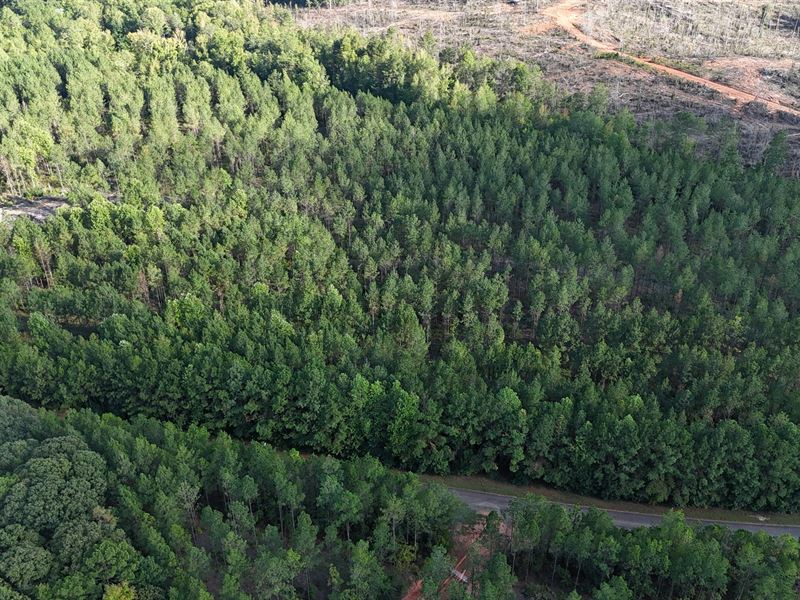 24.74 Ac, Pleasant Rd Camp Hill : Camp Hill : Tallapoosa County : Alabama