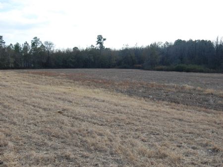 Howell Farm : Meigs : Colquitt County : Georgia