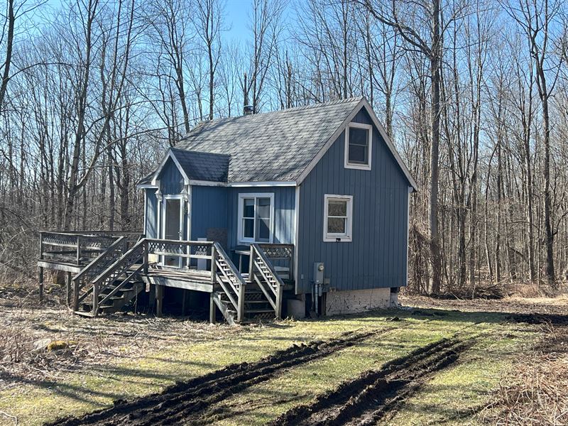 FixerUpper Camp Near State Forest, Farm for Sale in New York, 368817