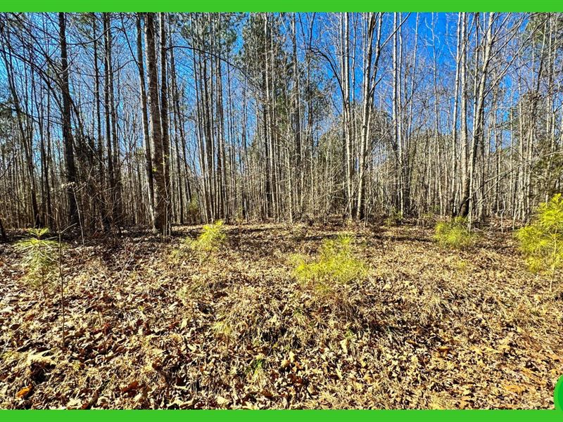 10 Acres in Orange County, NC, Farm for Sale by Owner in North Carolina