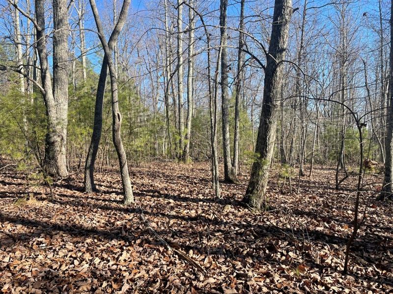 Lot 2, 7.58 Acres Scenic Hwy. 11 : Campobello : Spartanburg County : South Carolina
