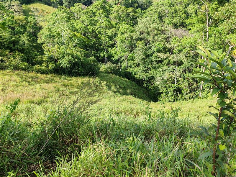 Beautiful Farm of Great Splendor : Turrubares : Costa Rica