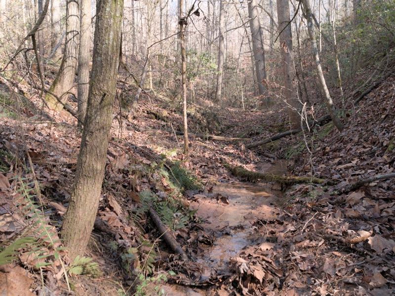 5.08 Ac in McDowell County, NC, Farm for Sale by Owner in North