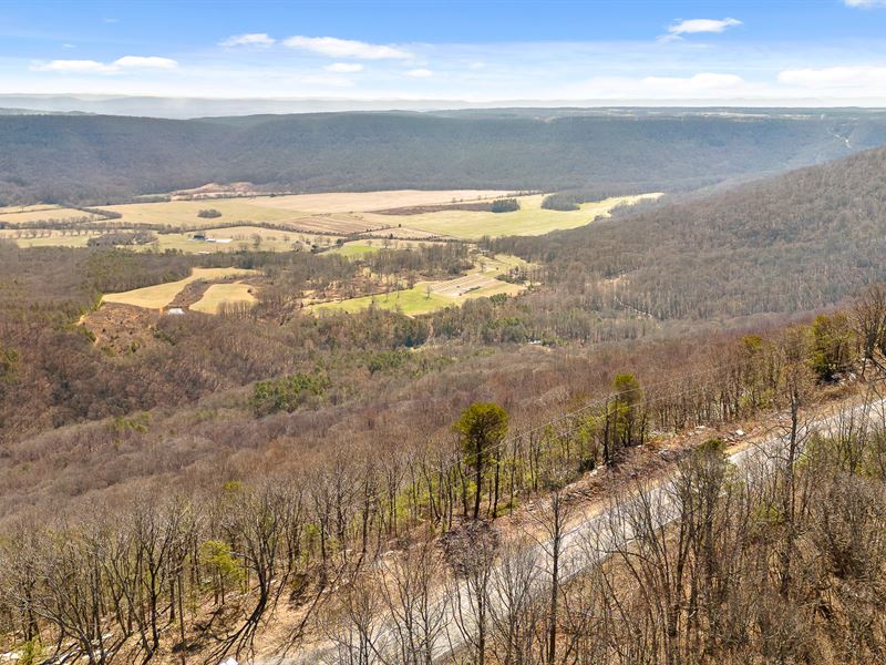 24 Acres Highway 157, Farm for Sale in 368979 FARMFLIP