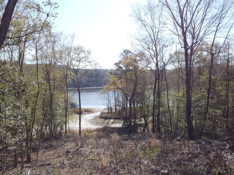 Wateree Shoreline Acreage, Farm for Sale in South Carolina, 369161
