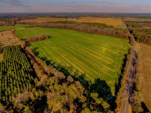 Five Chop Farm : Statesboro : Bulloch County : Georgia