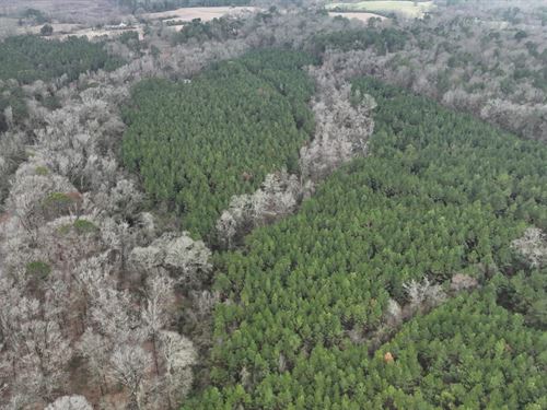 Bradford Trust, Lincoln Parish, 45 : Downsville : Lincoln Parish : Louisiana