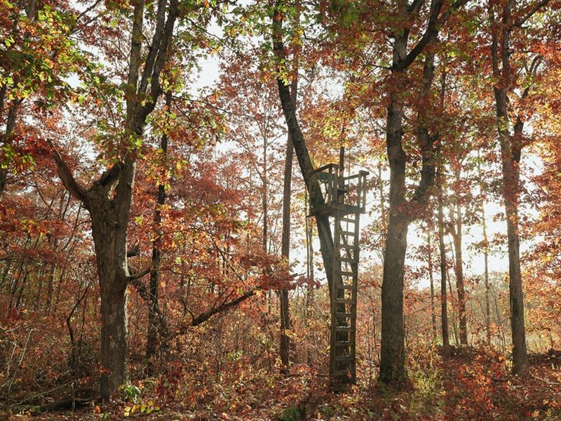 115.93 Acres in Soddy Daisy, TN, Farm for Sale by Owner in Tennessee