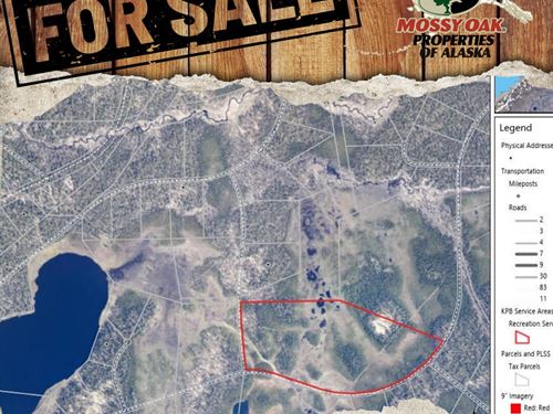 68.23 Acres of Prime Alaskan Huntin : Kenai : Kenai Peninsula Borough : Alaska