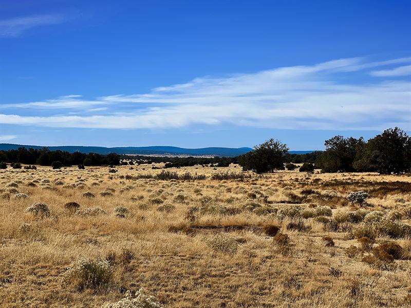 Beautiful 40 Acres of Pure Arizona : Seligman : Yavapai County : Arizona